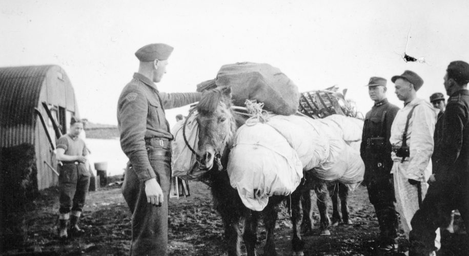 Norske frivillige i Akureyri på Island i 1942