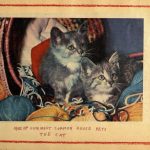 Katter i Minnesota - Album fra Sanford Junior High School i Minneapolis til Myra skole 1952