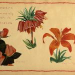 Blomster i Minnesota - Album fra Sanford Junior High School i Minneapolis til Myra skole 1952