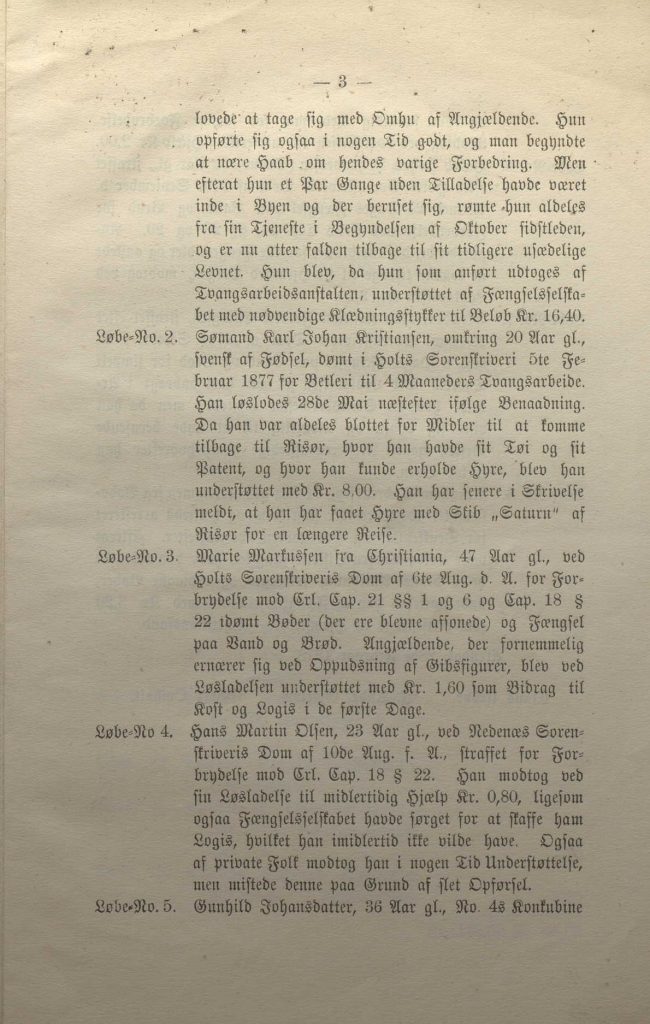 Beretning om Arendals Fængselsselskabs virksomhet 1877 s. 3