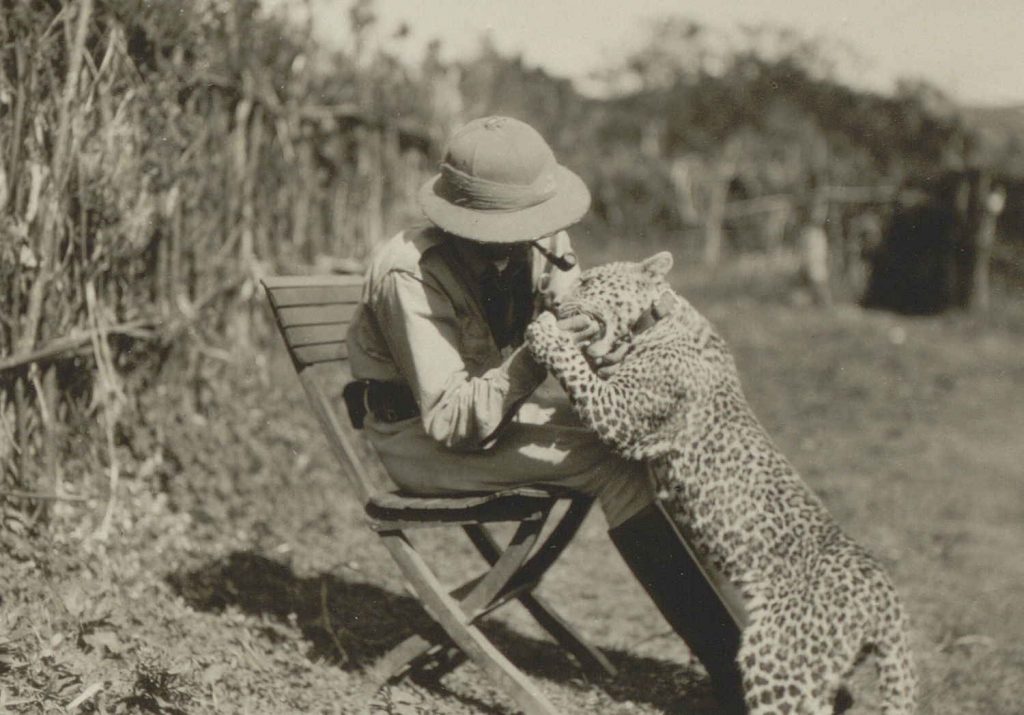 Juell sin leopard Bobby under ekspedisjonen Madji 1931