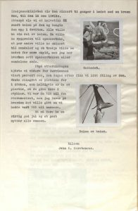 Vardaas Posten nr. 3 1951 2. årgang s. 2