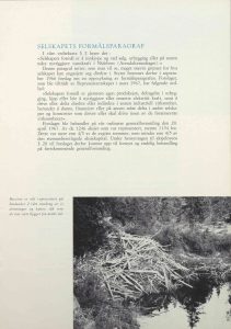 Årsberetning for Arendals Fossekompani 1967 s. 6