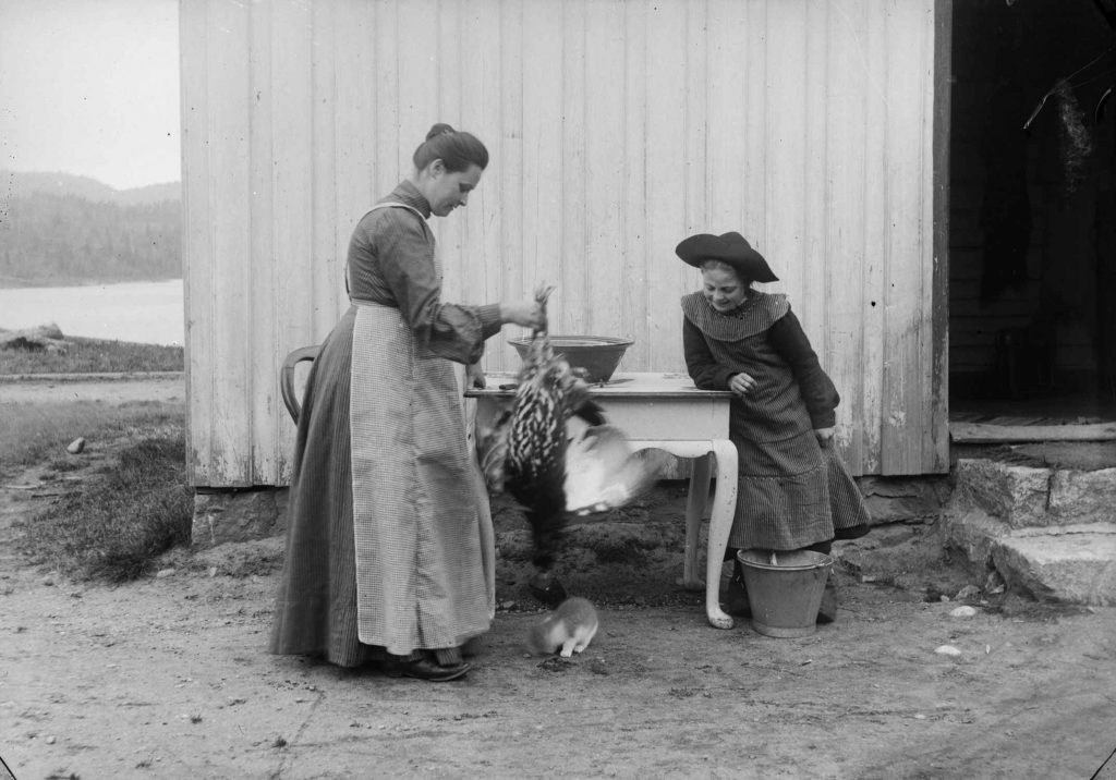 Ingeborg og Elle ribber en storfugl rundt 1900. Fotograf: P.B. Melaas
