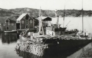 Bergingsdamperen "Herkules" og akterenden av "Takstaas" ved Kalvanes i 1939