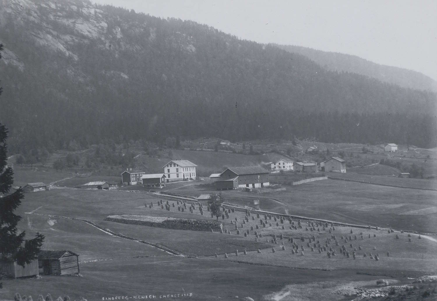 Ramse i Åmli rundt 1905