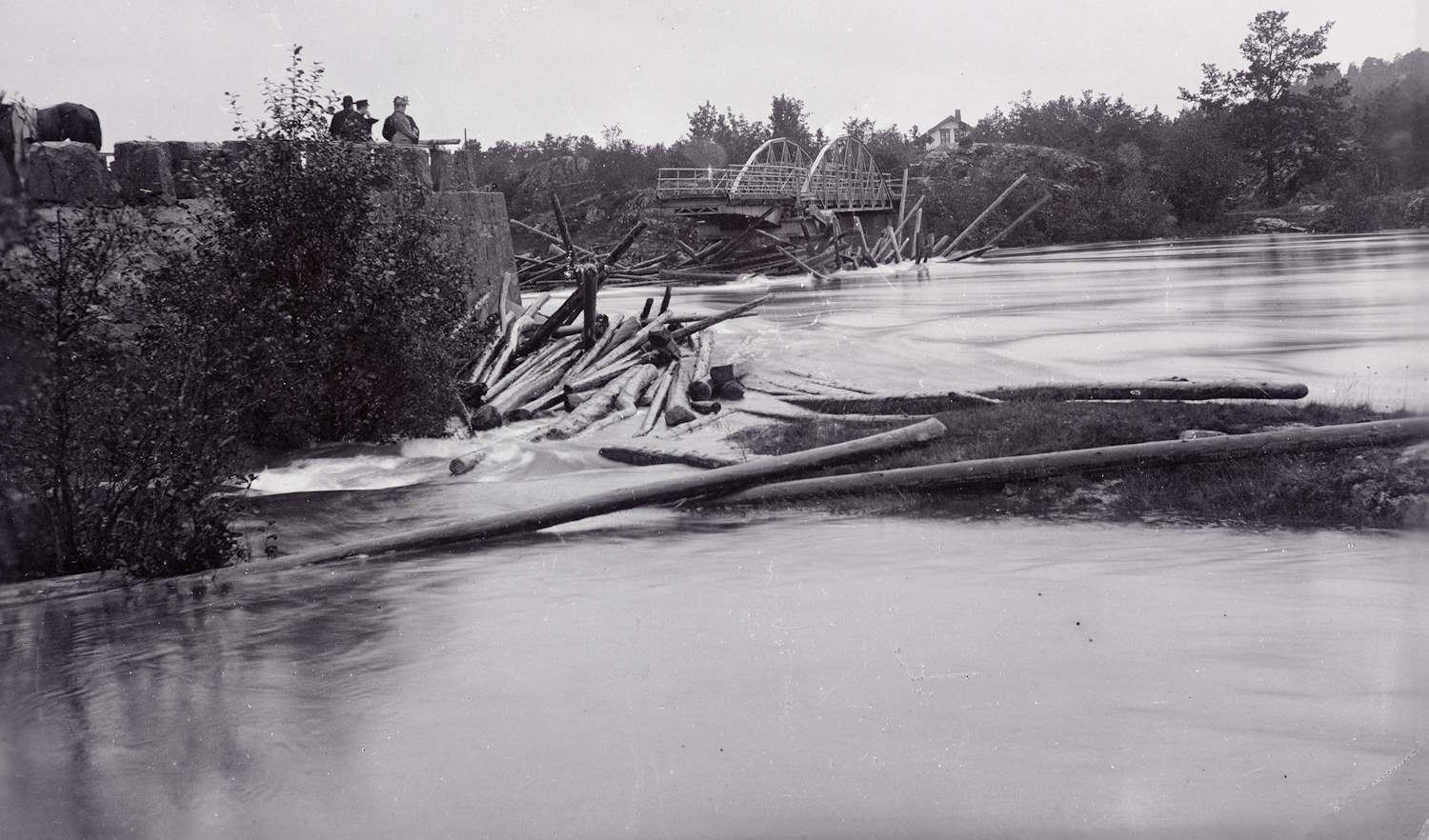 Sort-hvitt fotografi som viser Nidelva med kraftig vannføring. I forgrunnen renner vannet rolig, men midt i bildet ser man en stor samling tømmerstokker som har samlet seg mot en steinmur på venstre side. På muren står fire personer og ser utover elva. I bakgrunnen er en ødelagt Vippa bro – en bueformet stålkonstruksjon som har kollapset som følge flommen. Broen henger delvis over vannet, omgitt av trær og busker langs elvebredden. Stemningen er preget av naturkrefter og ødeleggelse.