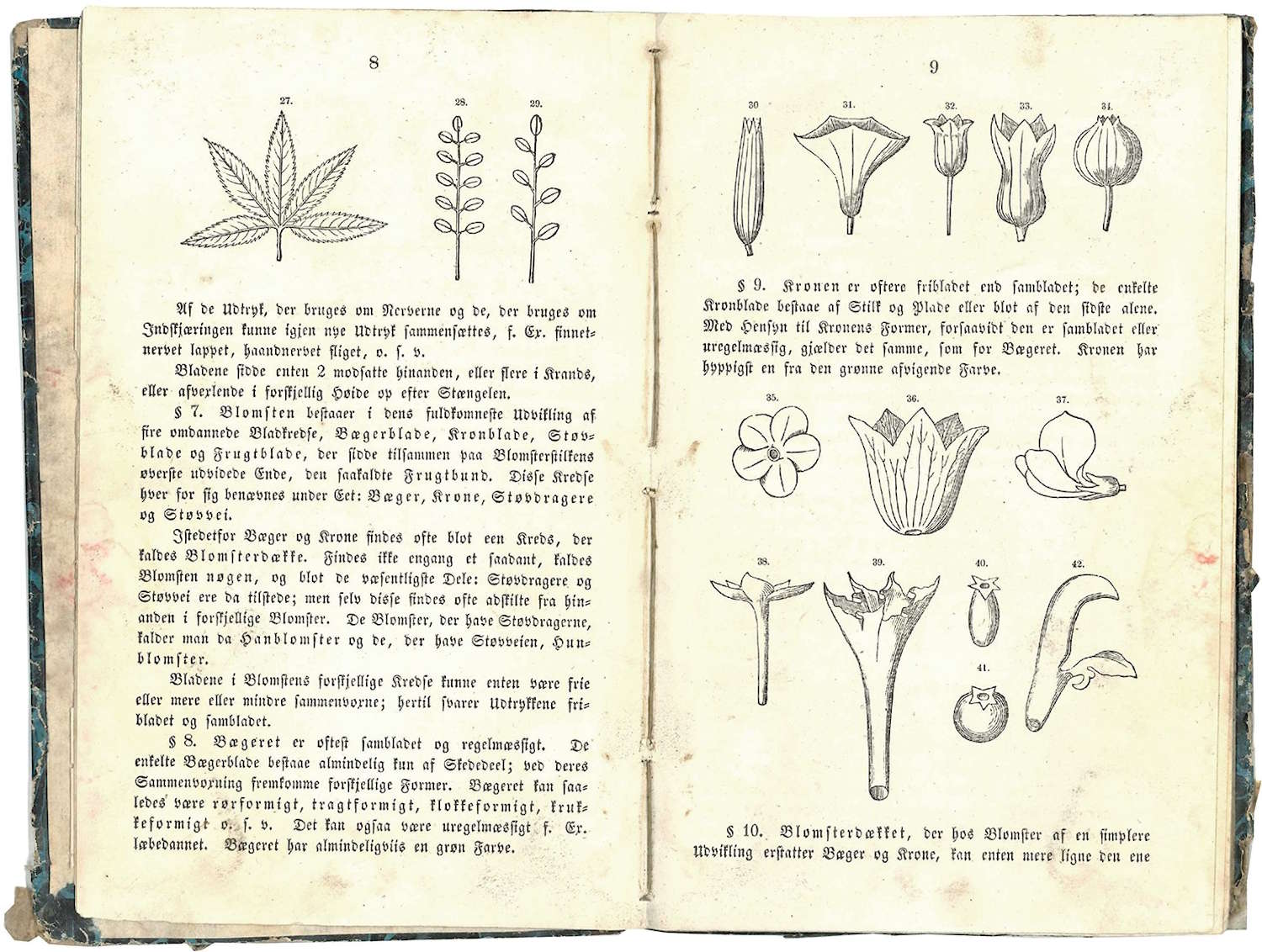 Grundrids af planterigets naturhistorie til skolebrug fra 1856