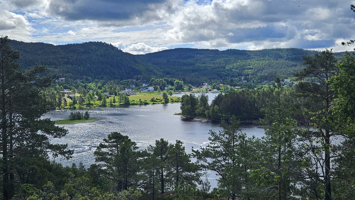 Herefoss 2026. Foto: Yngve Schulstad Kristensen. Bildet viser en bred elv som slynger seg gjennom et kupert landskap. I forgrunnen står flere høye furutrær som delvis rammer inn utsikten. Elva flyter rolig gjennom midten av bildet og danner små bukter og nes med tett skog langs kantene. Det ligger også noen små øyer eller holmer i elveløpet. På den andre siden av elva ligger et åpent kulturlandskap med grønne jorder og spredt bebyggelse, blant annet enkelte hus og gårdsbygninger. Rundt området strekker det seg skogkledde åser og lave fjell som dekker hele bakgrunnen. Himmelen er delvis skyet, med store hvite og grå skyer og partier med blå himmel. Lyset er jevnt og gir et rolig, naturlig preg til landskapet.
