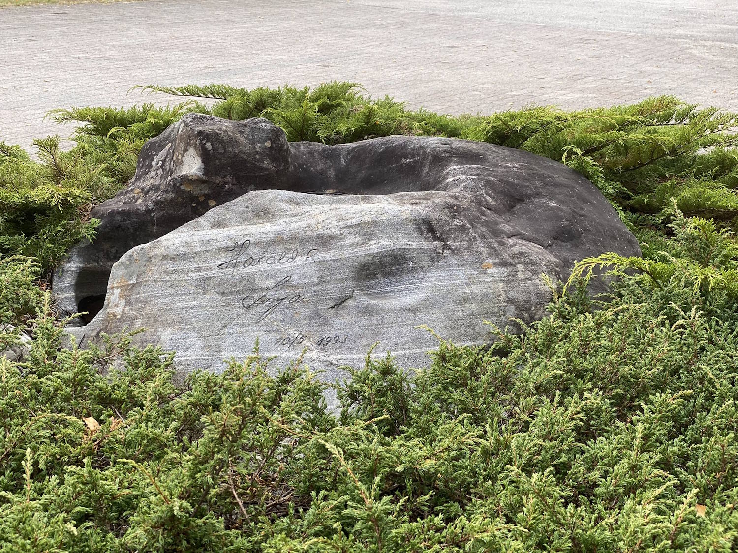 Kongesteinen i Iveland. 06.09.2026. Foto: Gaute Christian Molaug. Bildet viser en stor, mørk stein plassert i et beplantet område med lave, grønne einerbusker. Steinen har en uthult fordypning i toppen og fremstår bearbeidet eller formet. På den lysere forsiden av steinen er det inngravert tekst. Inskripsjonen ser ut til å lyde «Harald R» over «Sonja», med datoen «10/5 1993» under. Bak steinen ligger et belagt område med grå brostein eller asfalt. Vegetasjonen rundt steinen dekker deler av sokkelen og rammer inn motivet. Fargene i bildet domineres av grå stein og grønne busker, og lyset er jevnt uten sterke skygger. Motivet fokuserer på den inngravede minnesteinen, kjent som Kongesteinen i Iveland, omgitt av lav beplantning.